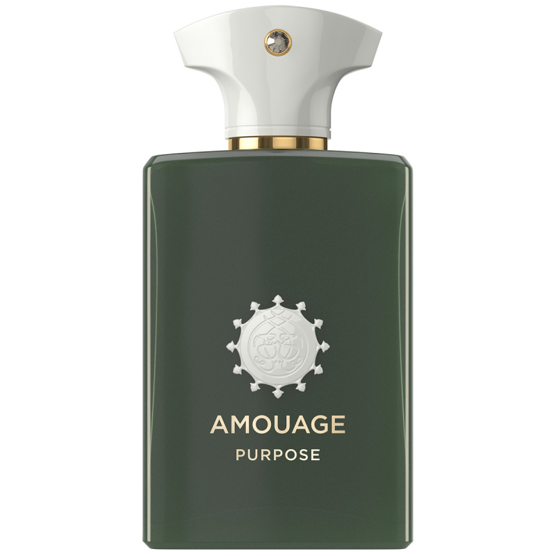 Billede af Amouage Purpose Man EdP (100 ml)