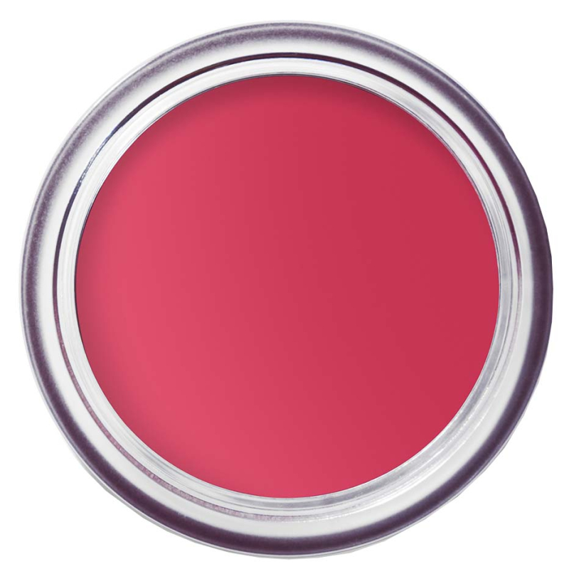 Bobbi Brown Pot Rouge Velvet Matte Guava Punsch 41 billede