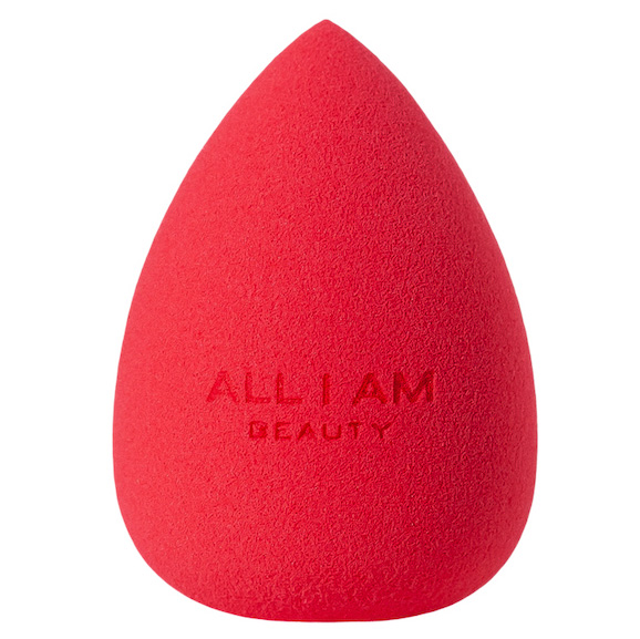 All I Am Blending Sponge