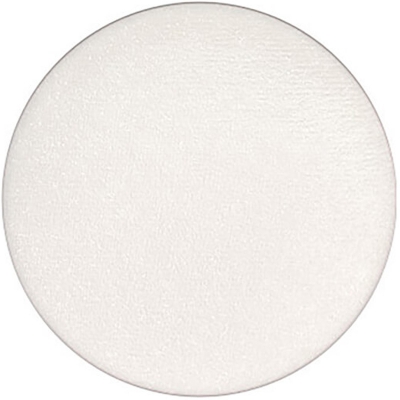 MAC Pro Palette Refill Eyeshadow Frost