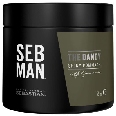 Sebastian Professional Seb Man The Dandy Pommade (75 ml)