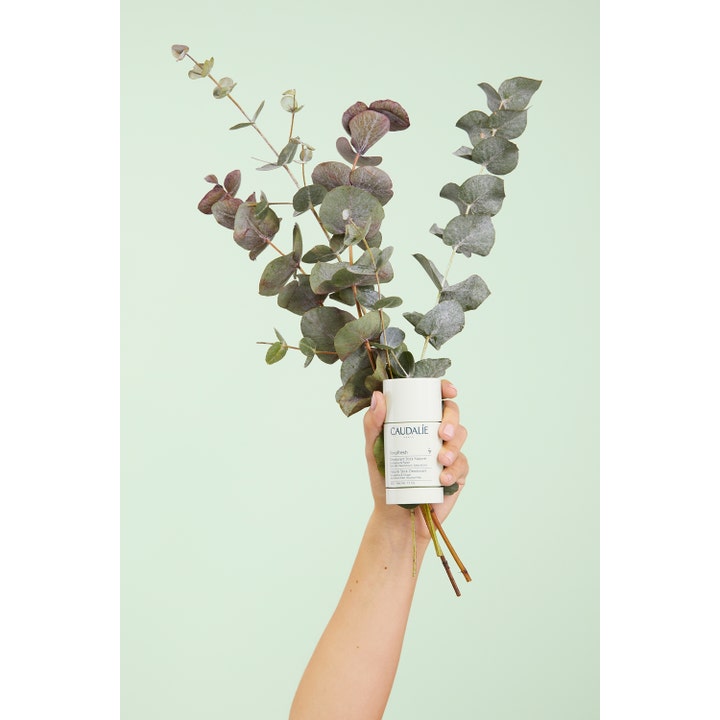 Caudalie Vinofresh Stick Deodorant 50 ml giver friskhed holdt i en hånd med eucalyptusgrene mod lysegrøn baggrund.