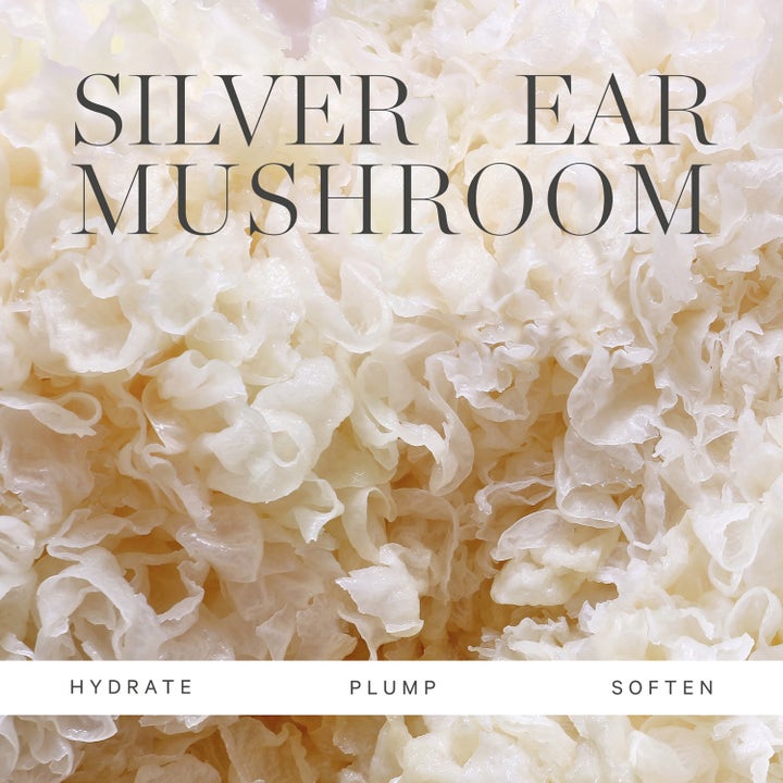 KORA Organics Milky Mushroom Gentle Cleansing Oil 30 ml ansigtsrens med Silver Ear-svamp der fugter og blødgør huden
