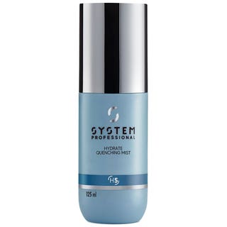System Professional Hydrate Quenching Mist