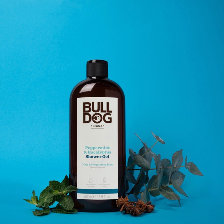 Bulldog Peppermint & Eucalyptus Shower Gel 500 ml opkvikkende showergel i mørk flaske med mynteblade på blå baggrund