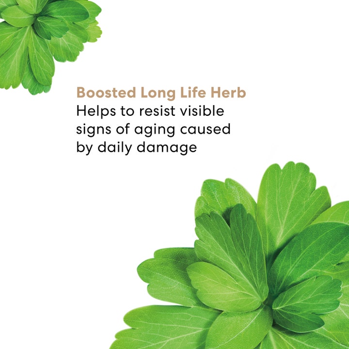 bareMinerals Skinlongevity Long Life Herb Serum 15 ml modvirker synlig ældning vist med grønne Long Life Herb blade.