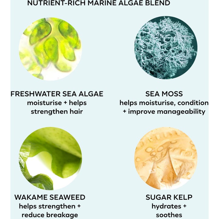 Money Laundering Glossing Conditioner