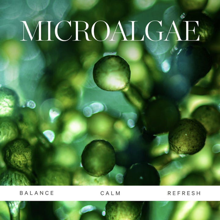 KORA Organics Active Algae Melting Cleansing Balm 100 g ansigtsrens med grønne mikroalger der giver balance og ro