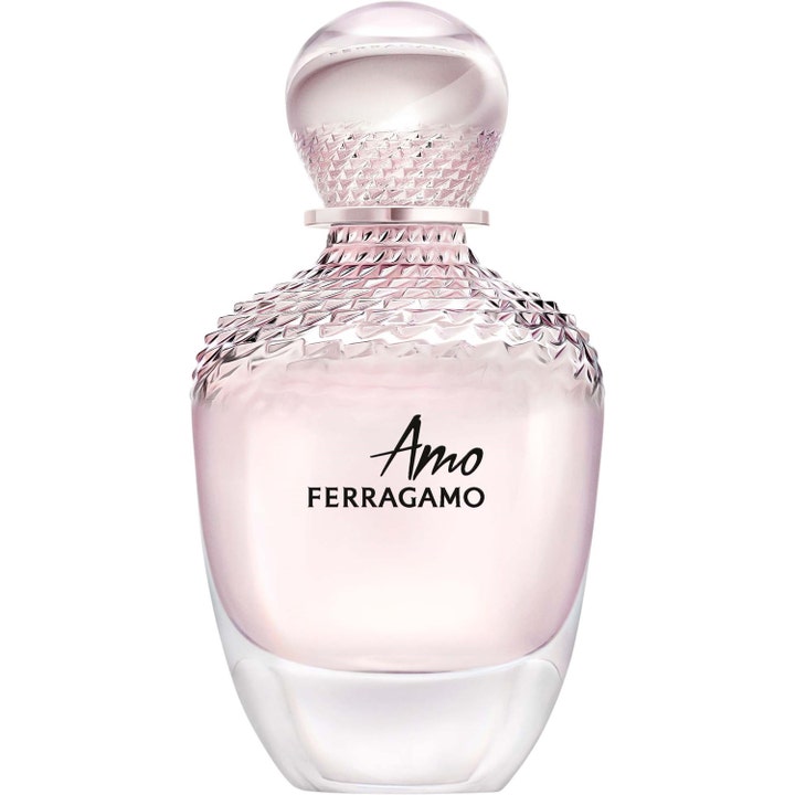 Amo