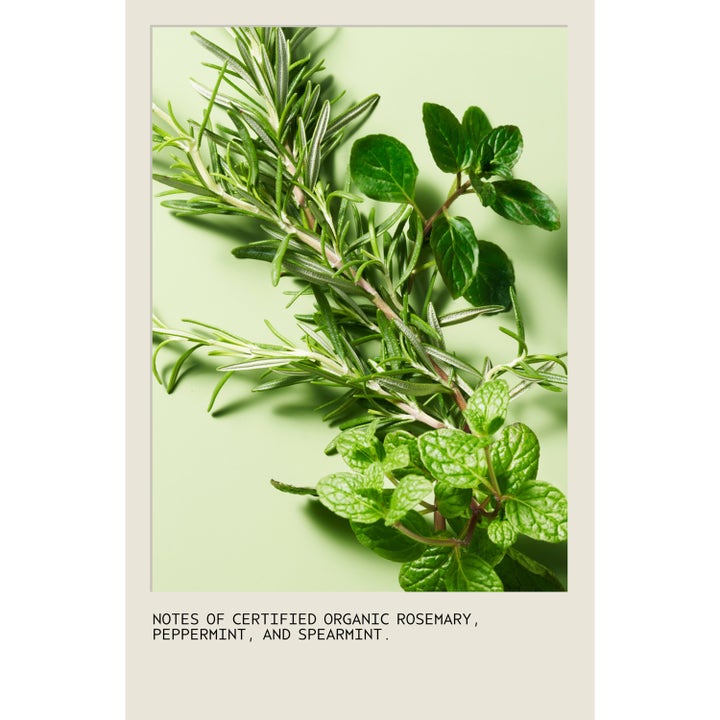 Rosemary Mint Conditioner