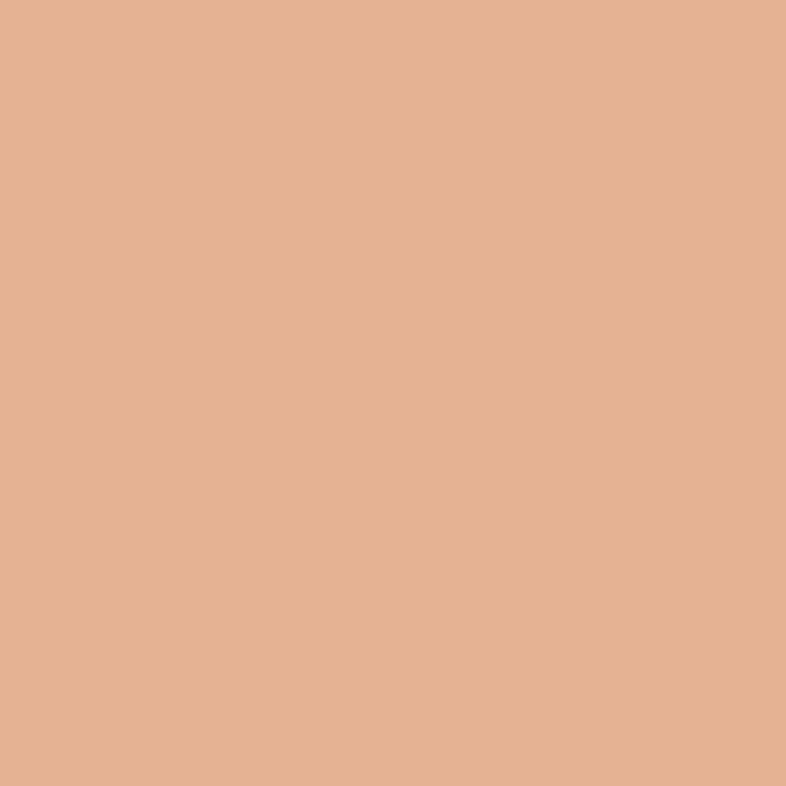 Perfect Matte Serum Foundation