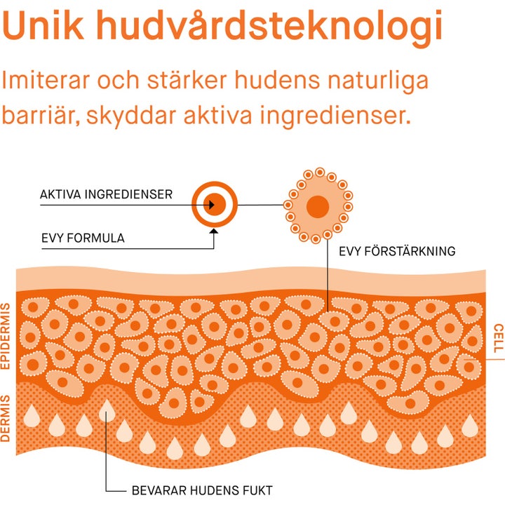 EVY Technology Daily UV Face 75 ml solcreme viser infografik om membrane technology der styrker hudens barriere.