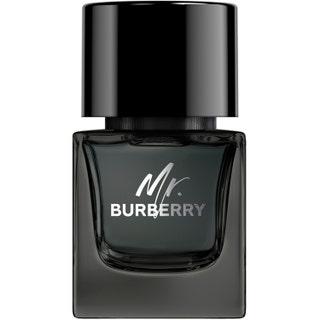 Burberry Mr Burberry