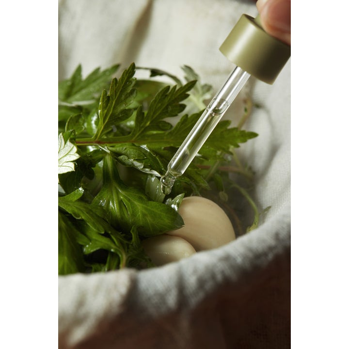 I'm from Mugwort Serum 30 ml beroligende ansigtsserum med pipette over friske grønne blade