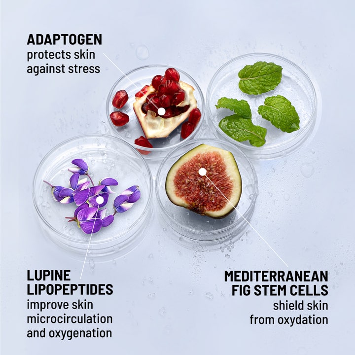Dr Brandt iD-STRESS Icy Energizing Gel Moisturizer 50 g fugtgivende gel med figen og lupin i petriskåle