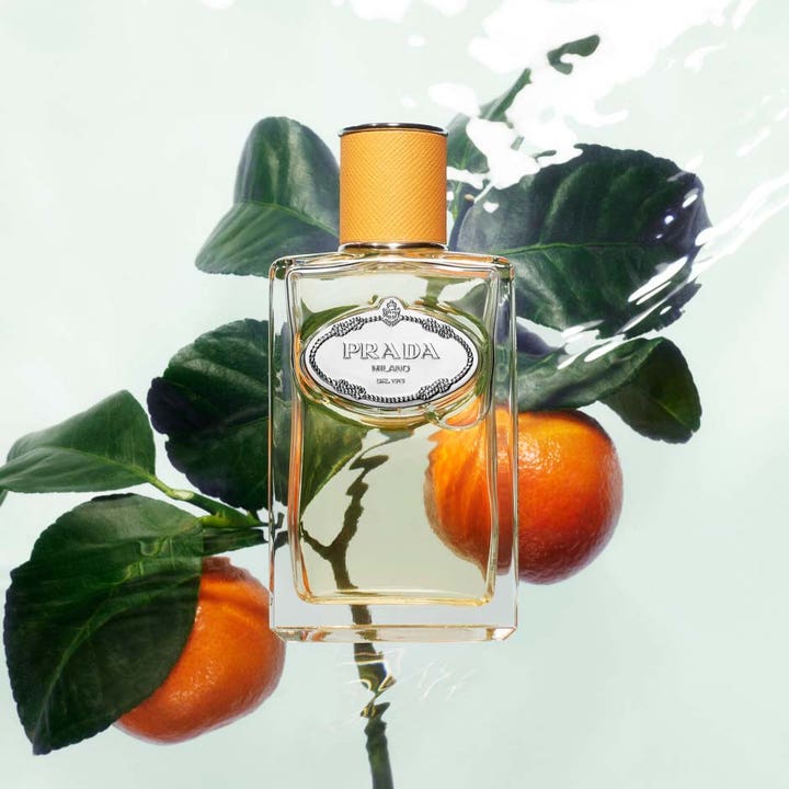 Infusion de Mandarine