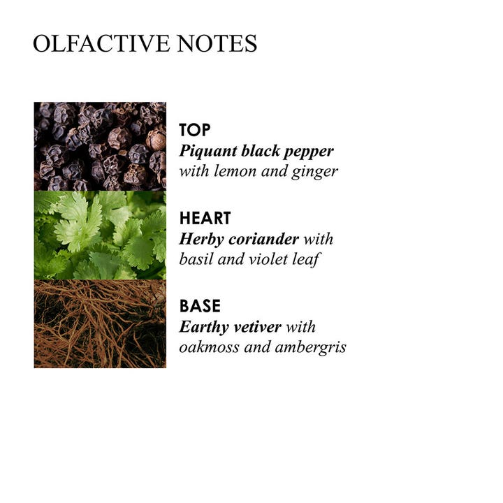 Molton Brown Re-charge Black Pepper Bath & Shower Gel 400 ml refill viser duftnoter som sort peber, koriander og vetiver.