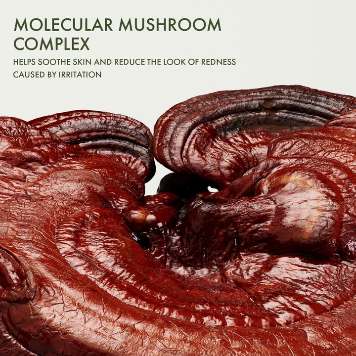 Origins Dr. Weil Mega-Mushroom 30 ml beroligende serum med svampeekstrakt der dæmper rødme og irritation