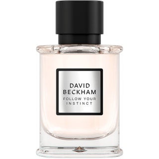 David Beckham Follow Your Instinct