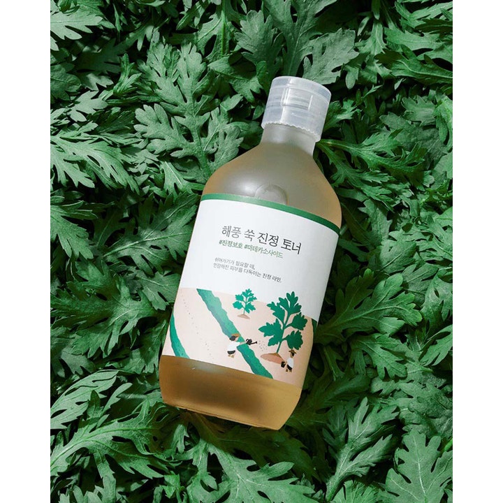 Round Lab Mugwort Calming Toner 300 ml beroligende ansigtsvand i gennemsigtig flaske omgivet af grønne bynkeblade