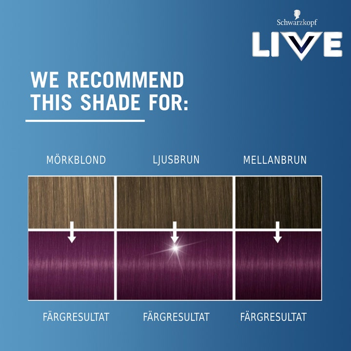 Live Intense Color