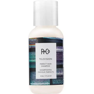 R+Co TELEVISION Perfect Hair Shampoo