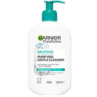 Garnier SkinActive PureActive Gentle Deep Cleanser
