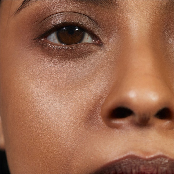THE CONCEALER