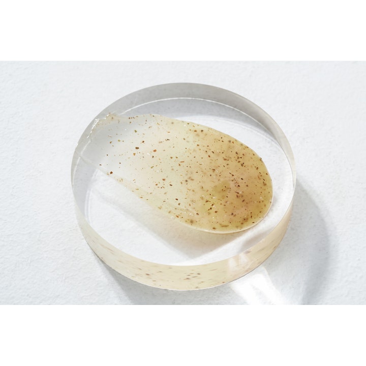 Mixsoon Master Gentle Recipe Foam Cleanser 150 ml beroligende rengøringsskum med synlige plantepartikler i en klar geltekstur