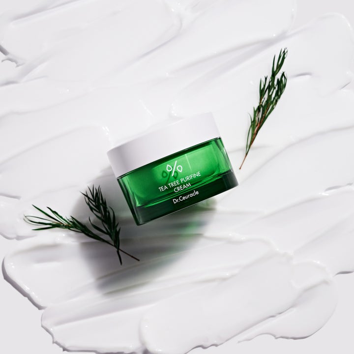 Dr. Ceuracle Tea Tree Purifine Cream 50 g beroligende ansigtscreme i grøn krukke på hvid tekstur baggrund