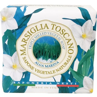 Nesti Dante Marsiglia Toscano Alga Marina