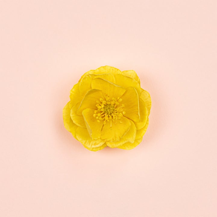 Bloom Ambrosia d'Oro