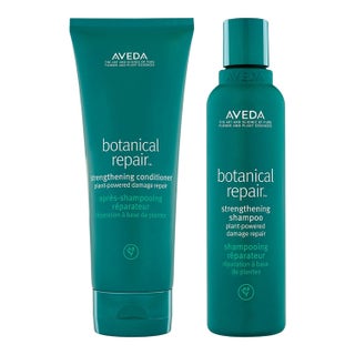 Aveda Botanical Repair Hair Duo