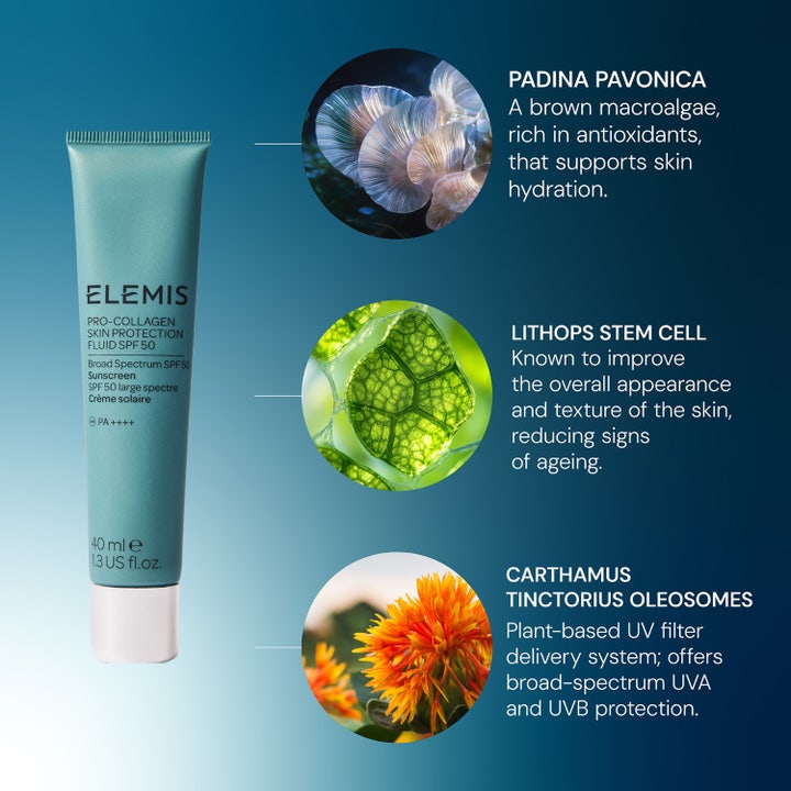 Elemis Pro-Collagen Skin Protection Fluid SPF50 40 ml fugtgivende solcreme med padina pavonica og lithops stamceller.