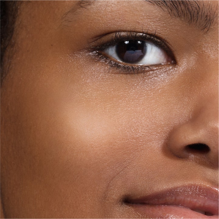 THE CONCEALER