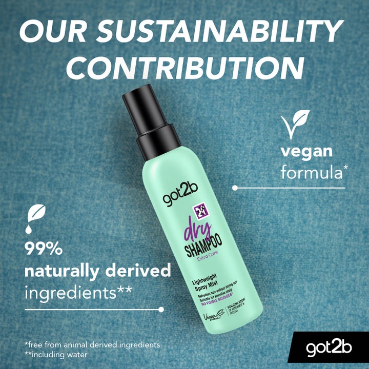 Dry Shampoo Mist