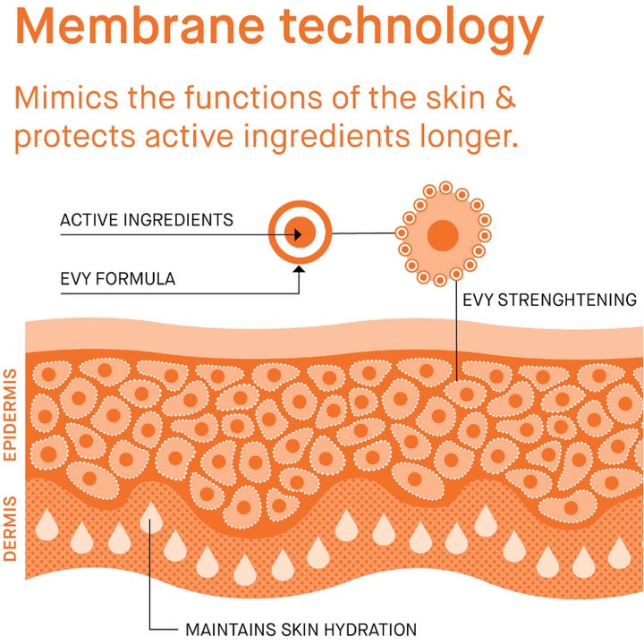 EVY Technology Sun Protection Set 175 ml solcreme infografik der viser membranteknologi og hudstyrkende effekt.