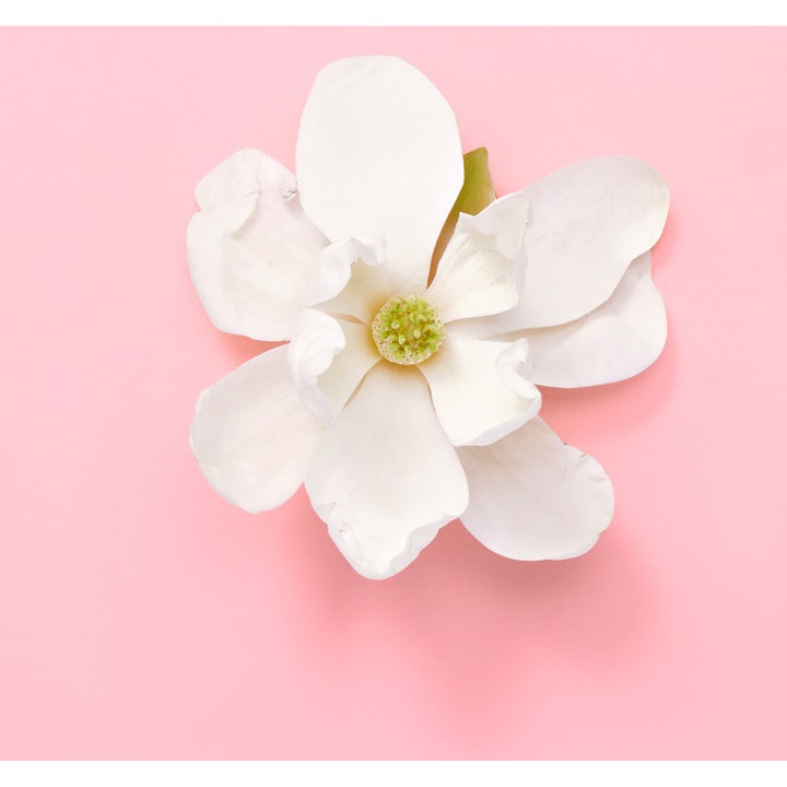Gucci Flora Gorgeous Jasmine Eau de Parfum 30 ml duft sammen med andre farverige Flora flasker blandt blomster