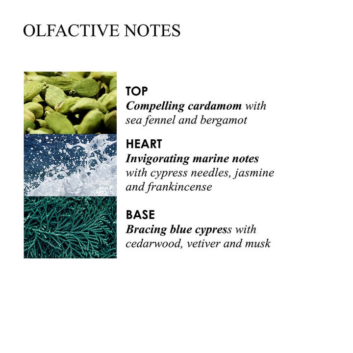 Molton Brown Coastal Cypress & Sea Fennel 400 ml genopfyldning viser opfriskende duftnoter af kardemomme og hav