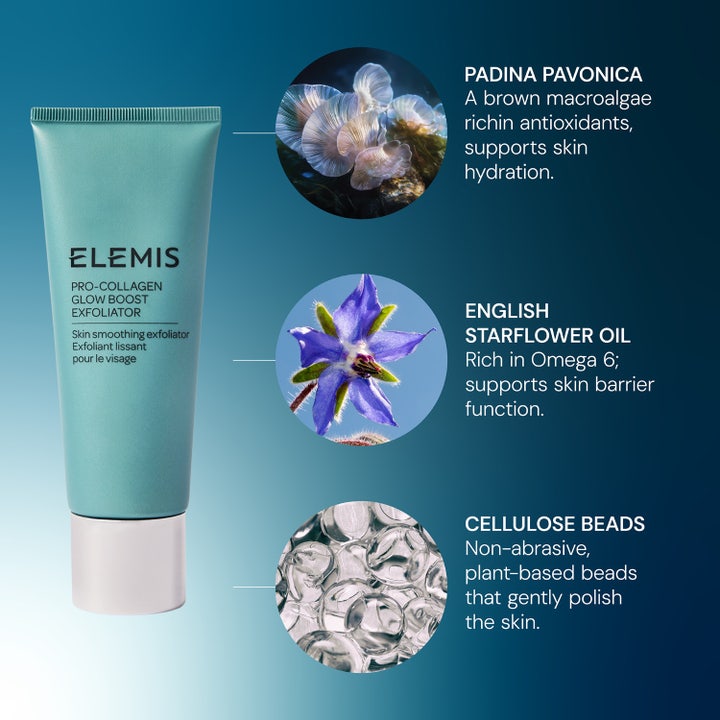 Elemis Pro-Collagen Glow Boost Exfoliator 100 ml ansigtsskrubb med Padina Pavonica og plejende stjerneblomstolie.