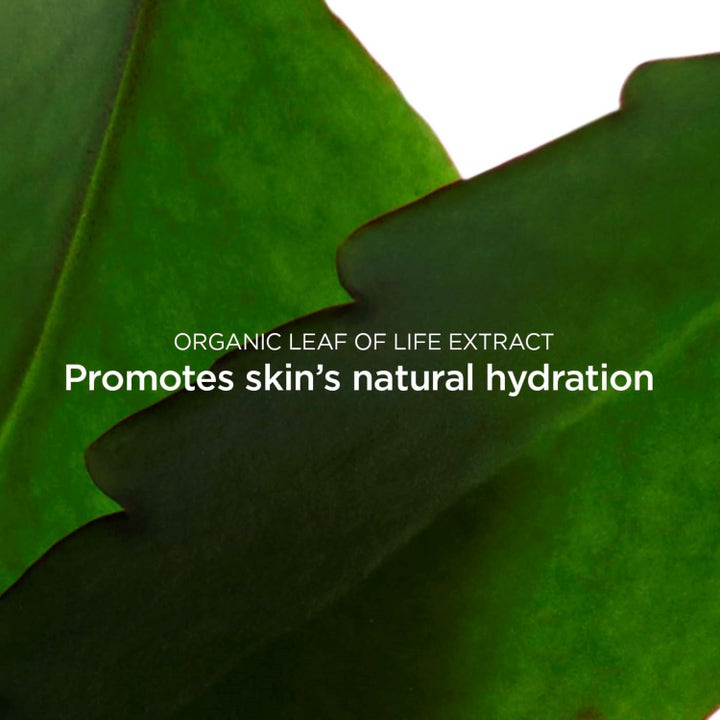 Clarins Fresh Scrub Refreshing Cream Scrub 50 ml ansigtsskrubb med grønne blade og Leaf of Life ekstrakt